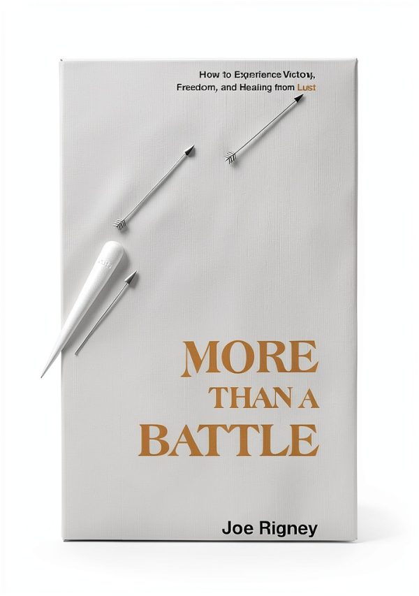 B&H Books Christian Living Kindle eBook for Men and Families-0